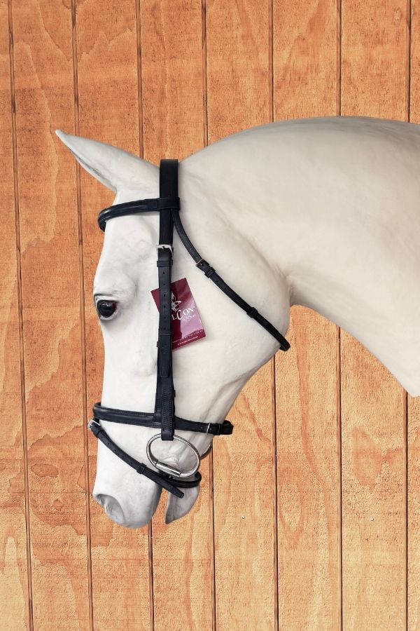 Jeffries Falcon Flash Noseband Bridle – Black