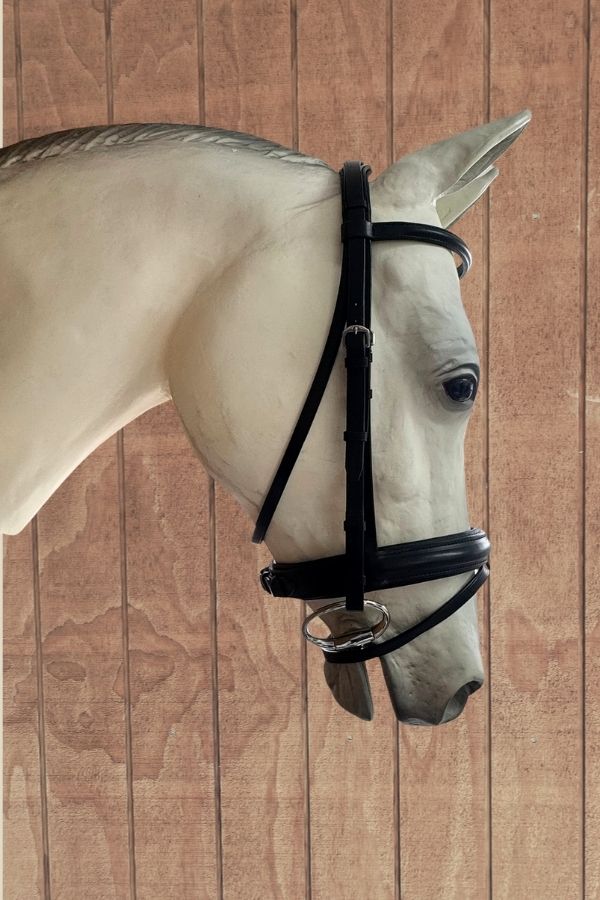Albion Snaffle Bridle with Flash – Black (Full)