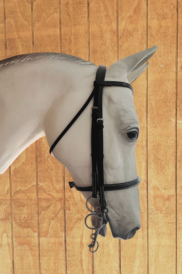 Jeffries Weymouth Show Bridle – Full - Havana (with Reins)