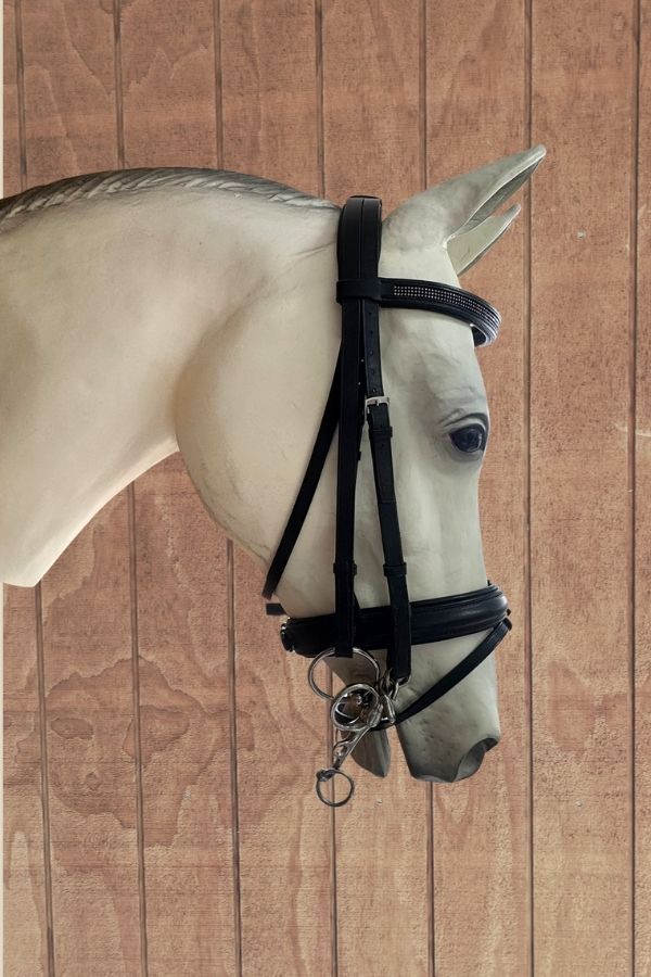 Albion Weymouth Bridle with Flash – Black (Full)