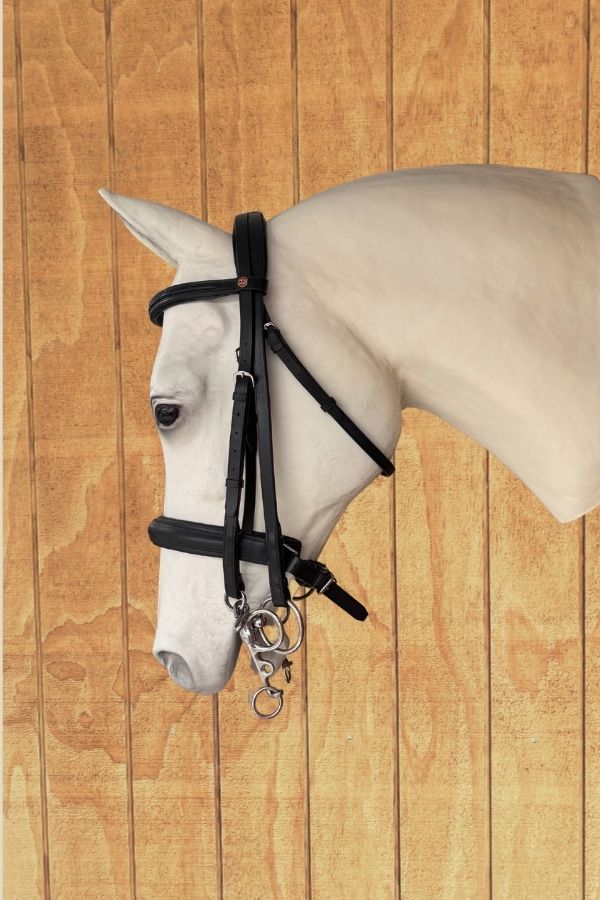 Albion Weymouth Bridle with Crank Noseband – Black (Full, with Reins)