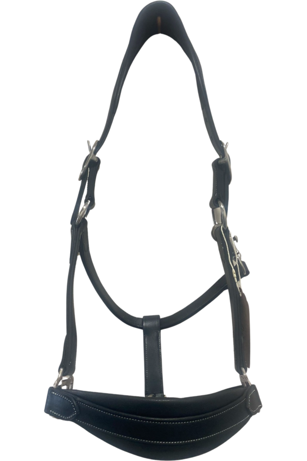 Étoile Deluxe Leather Comfort Halter - Canterbury Saddlery