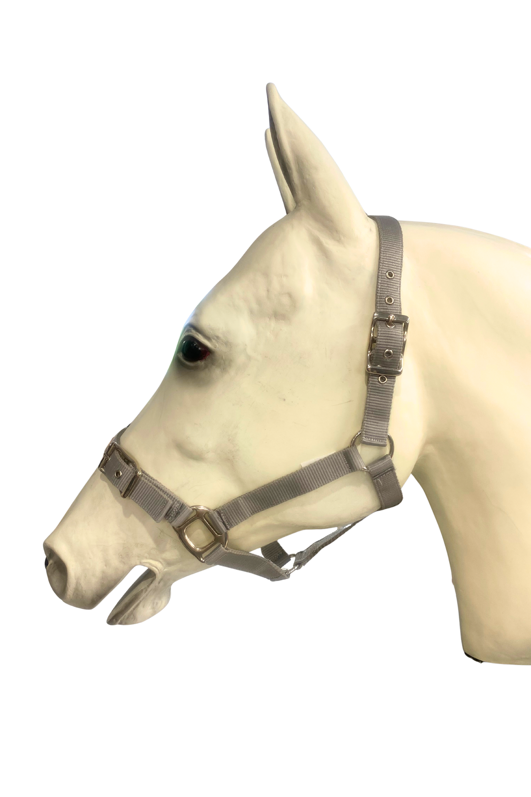Durable Double Nylon Halter with Buckle on Nose