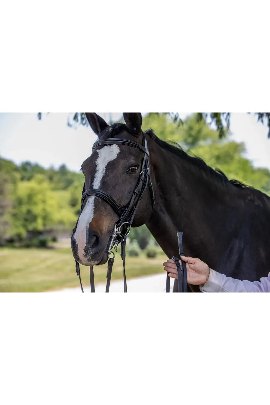 Amerigo Vespucci Double Raised Weymouth Bridle