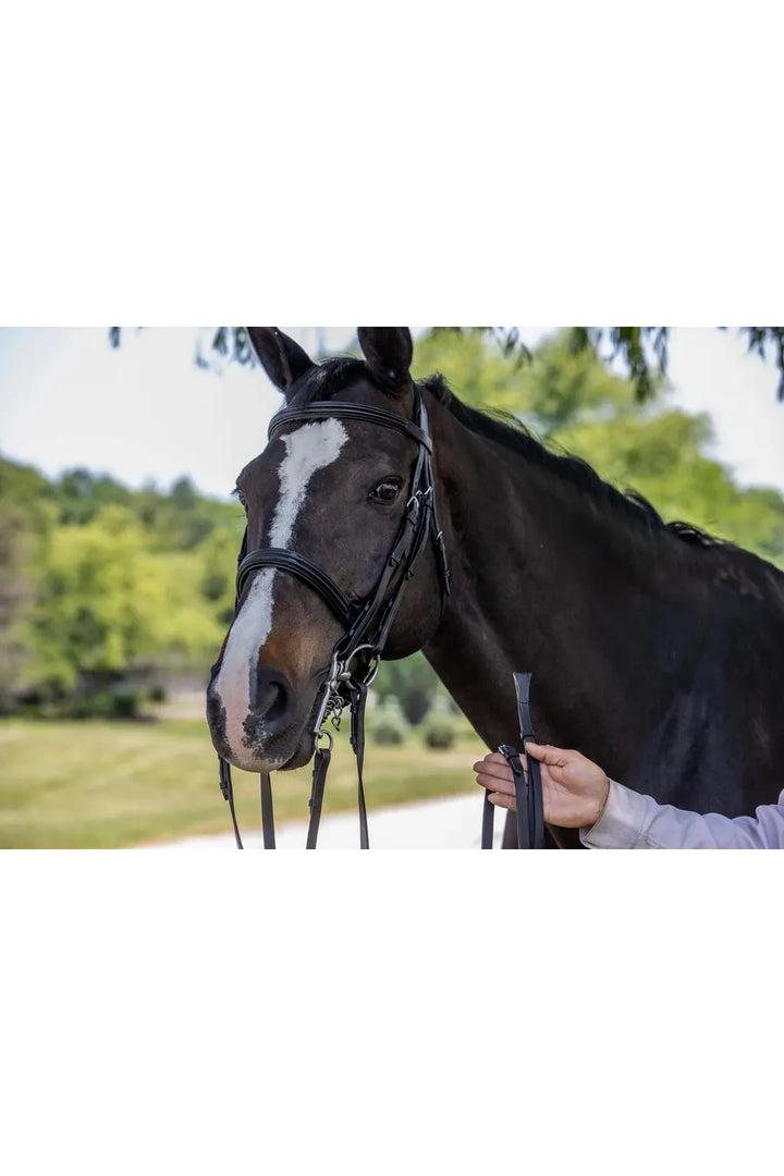 Amerigo Vespucci Double Raised Weymouth Bridle