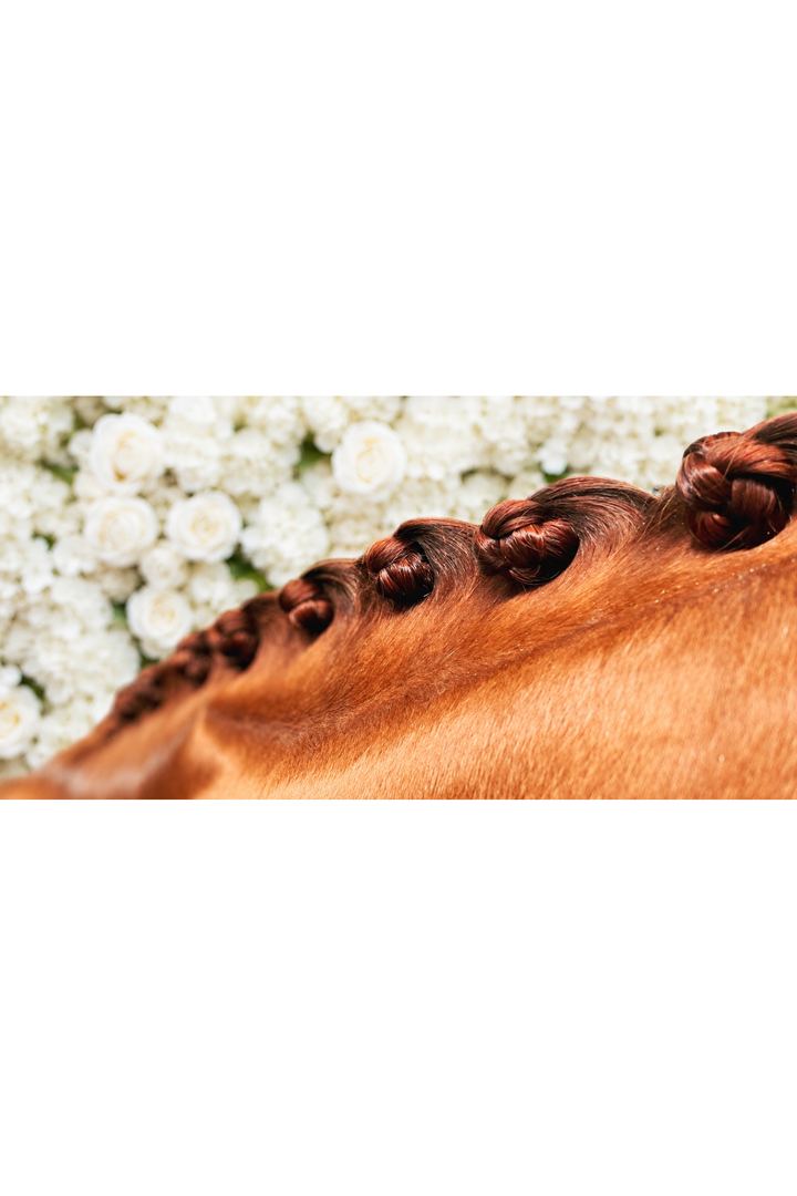 Effol Non-Snap plaiting bands