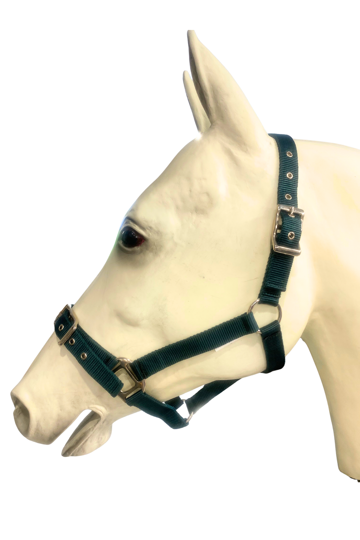 Durable Double Nylon Halter with Buckle on Nose