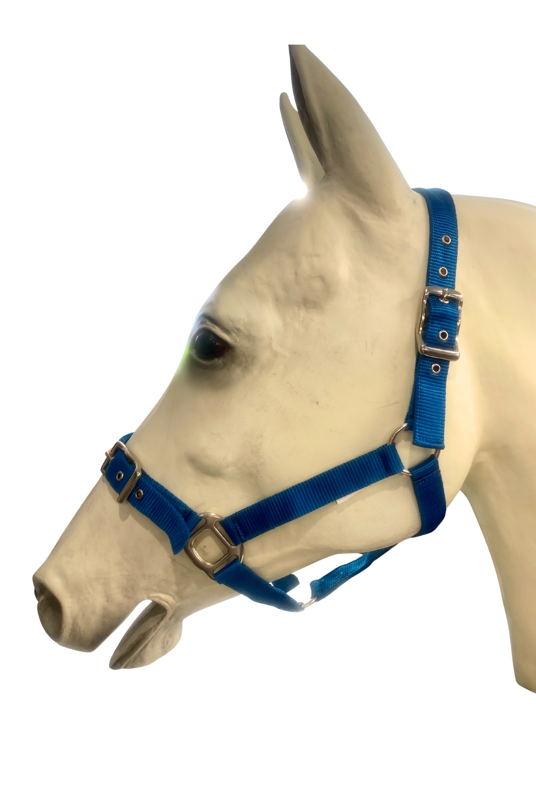 Durable Double Nylon Halter with Buckle on Nose