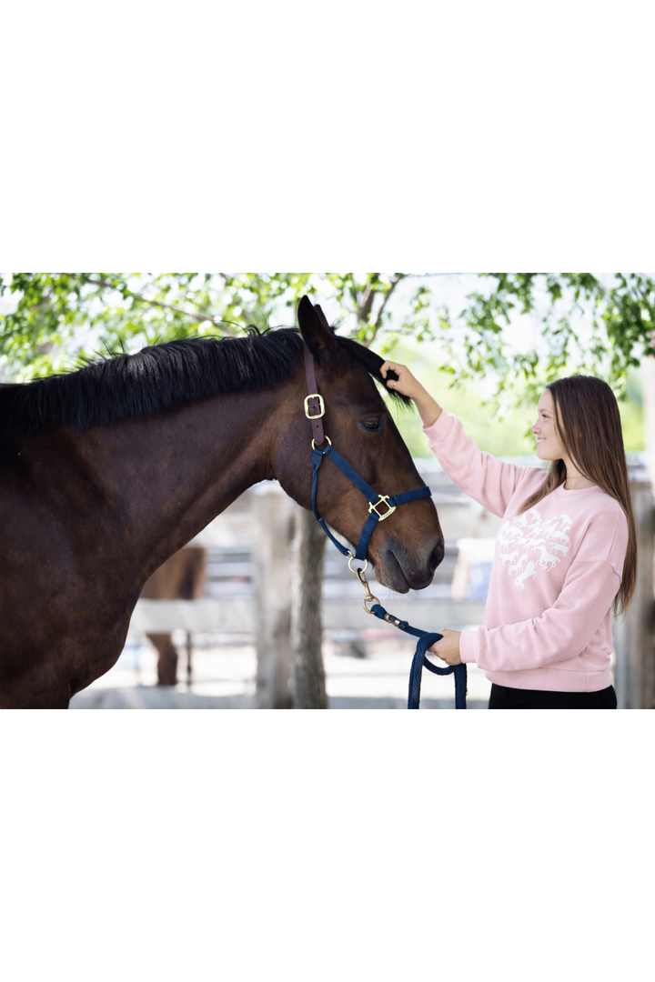 My Love of Horses Sweatshirt