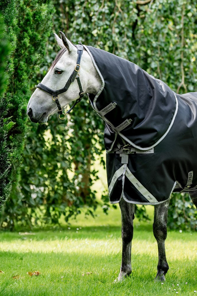 Horseware Amigo XL Neck Rug 150gm - Canterbury Saddlery