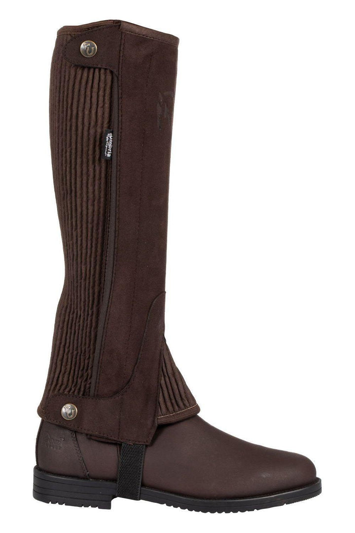 Umbria 'Amara' Shaped Half Chaps with Side Zip - Canterbury Saddlery
