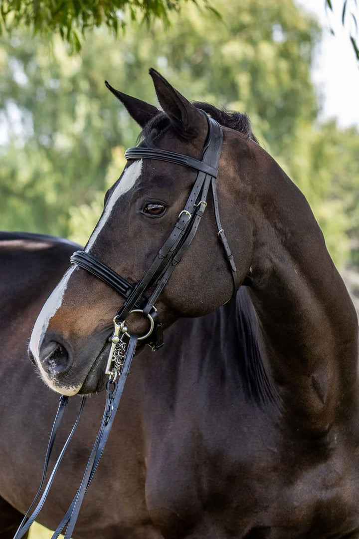 Amerigo Vespucci Double Raised Weymouth Bridle