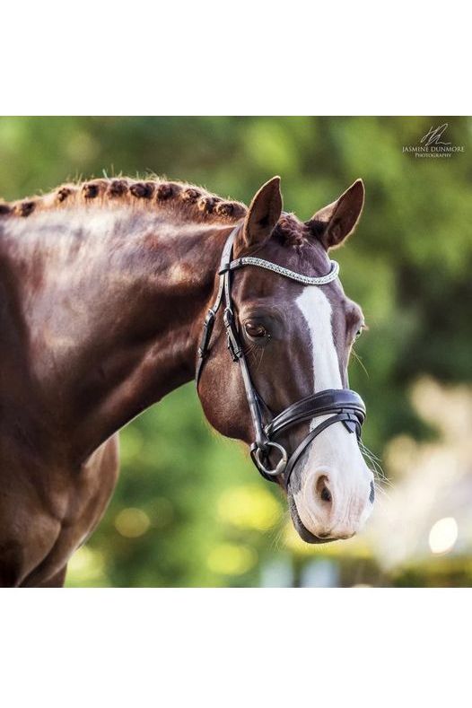 Lumiere 'Anastasia' Convertible Bridle - Brown
