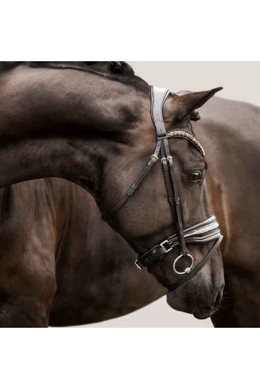 Lumiere 'Ariana' Hanoverian bridle - Black