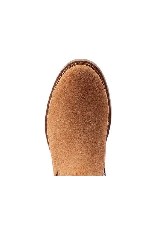 Ariat women's low on sale boots