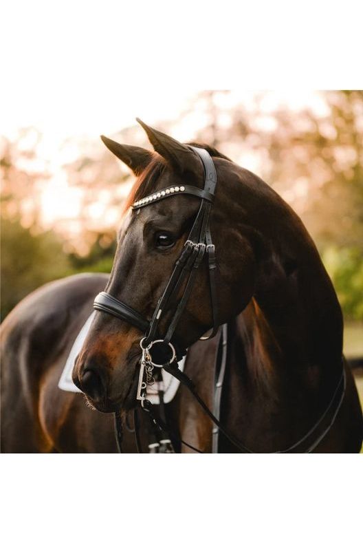 Lumiere 'Athens' Double Bridle - Black