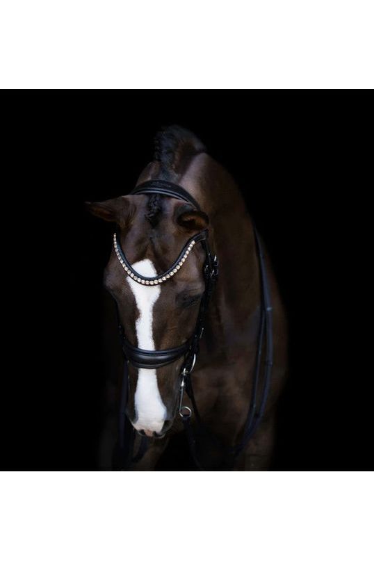 Lumiere 'Athens' Double Bridle - Black