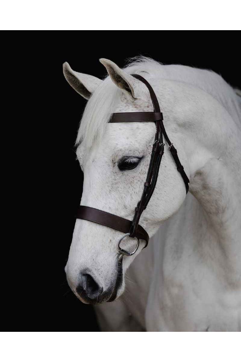 Platnium Show bridle