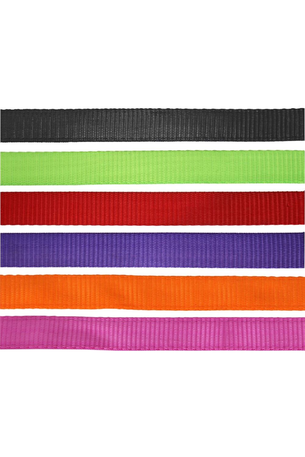 Flair Heavy Duty Nylon Web Halter