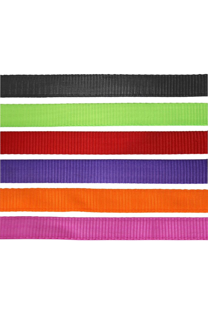 Flair Heavy Duty Nylon Web Halter