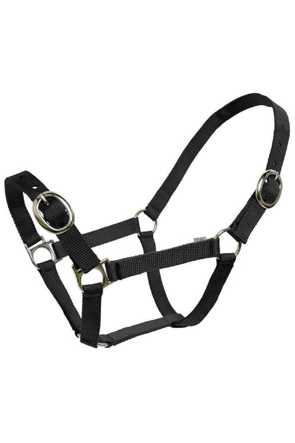 Flair Classic Web Halter