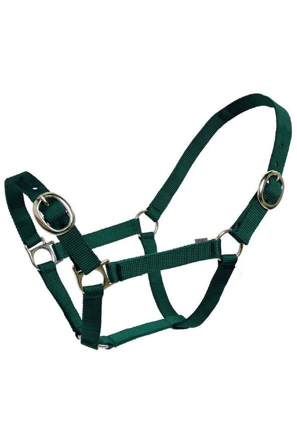 Flair Classic Web Halter