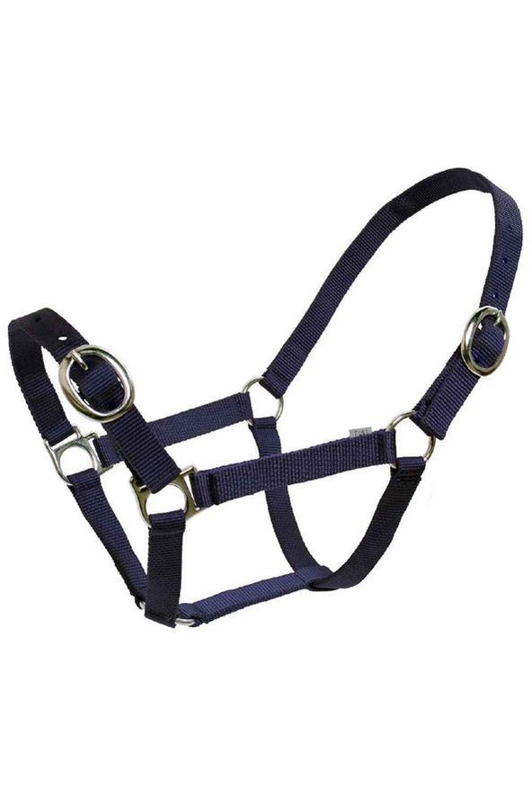 Flair Classic Web Halter