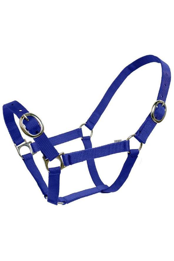 Flair Classic Web Halter