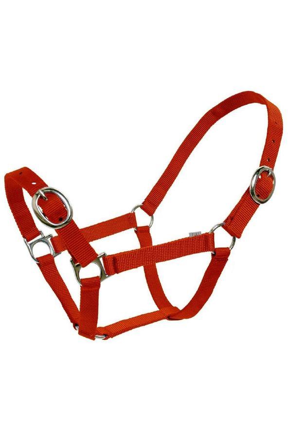 Flair Classic Web Halter