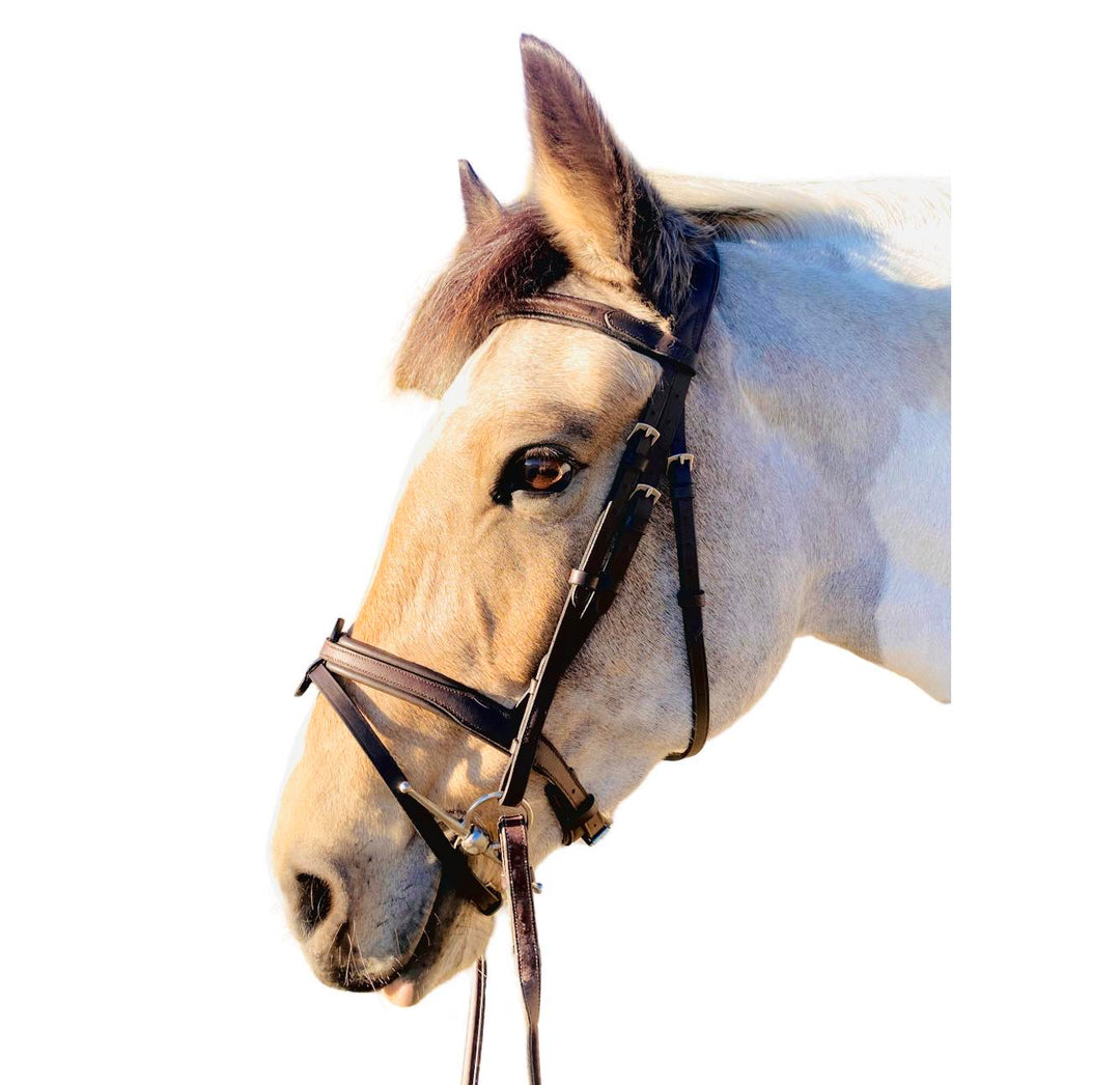 Étoile Comfort Bridle with Flat Padded Browband - Canterbury Saddlery