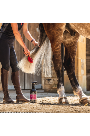 Carr Day Martin Mane &amp; Tail spray - 500ml