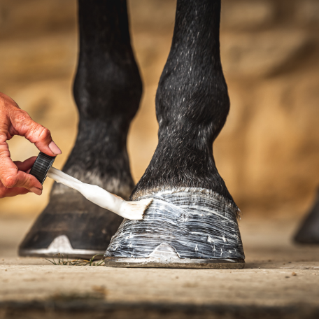 CDM Daily Hoof Moisturiser