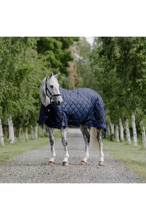 Cavallino Badminton Stable Rug 420D, 100gm Fill - Canterbury Saddlery