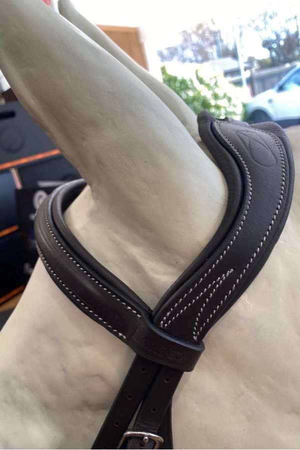 Étoile EQ Comfort Cavesson Bridle with Flash