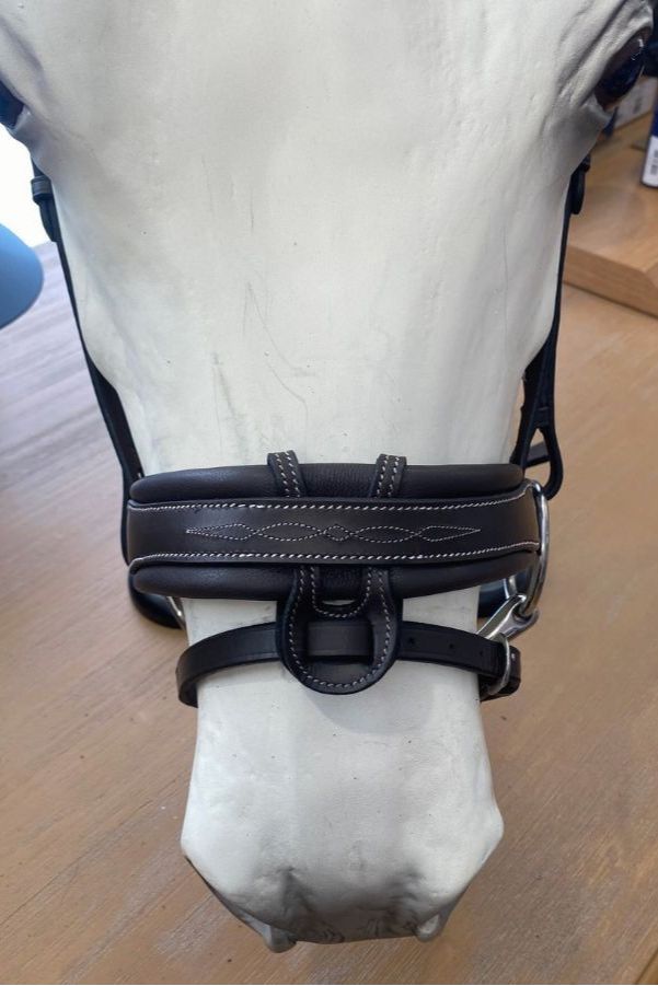 Étoile EQ Comfort Cavesson Bridle with Flash