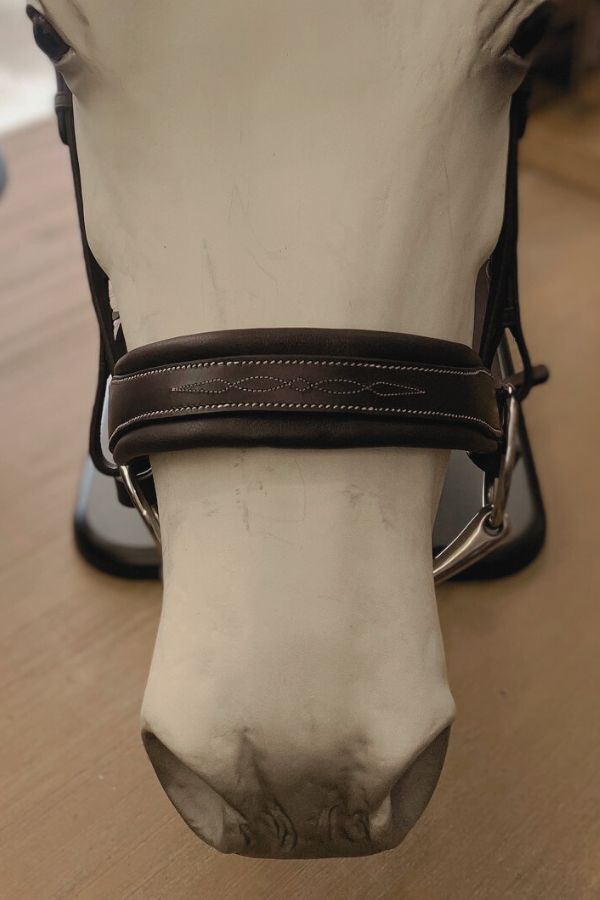 Étoile EQ Comfort Cavesson Bridle with Flash