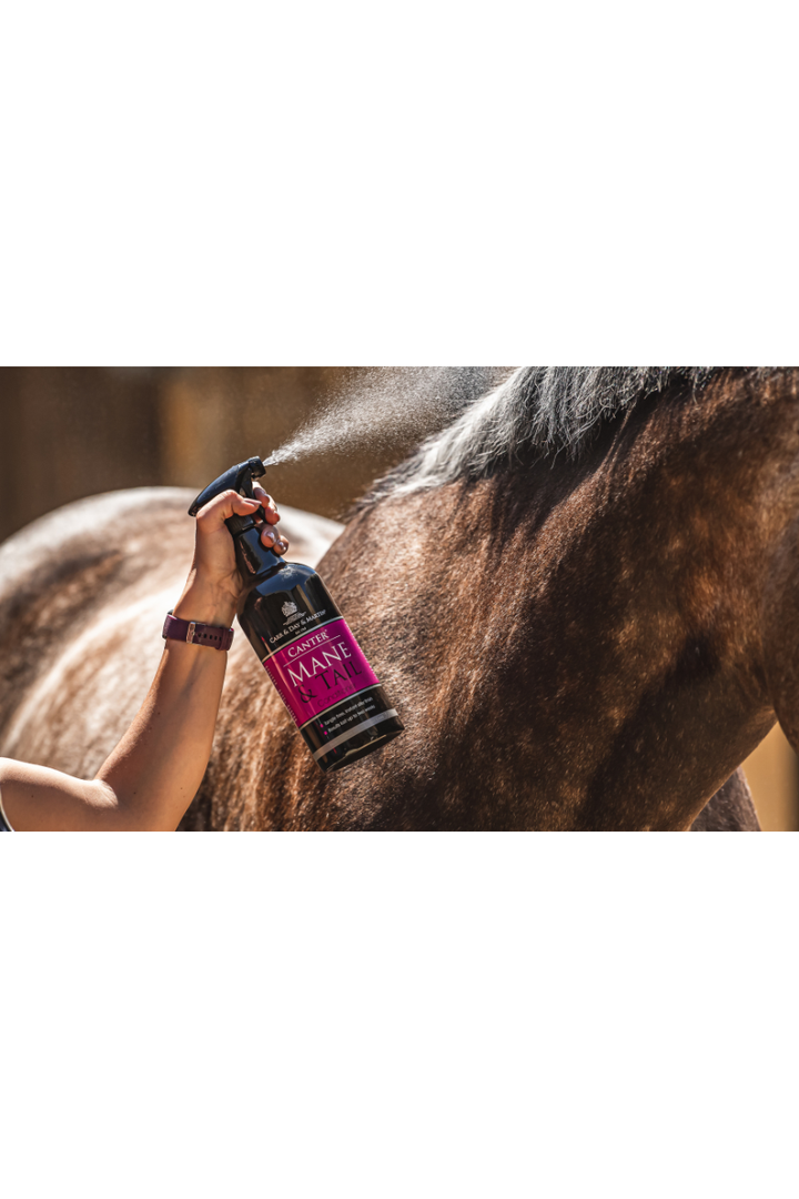Carr Day Martin Mane &amp; Tail spray - 500ml