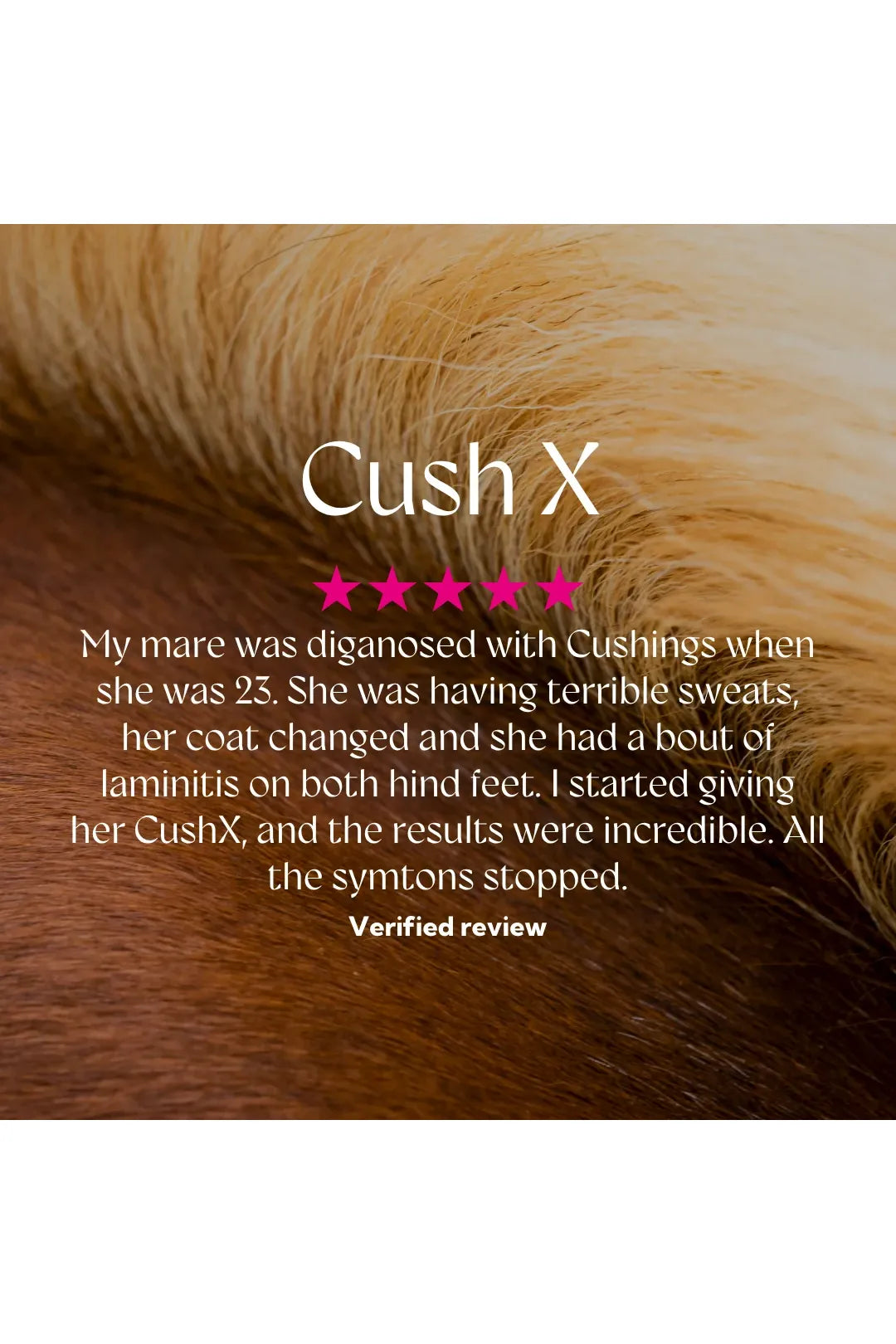 Hilton Herbs Cush X 1kg