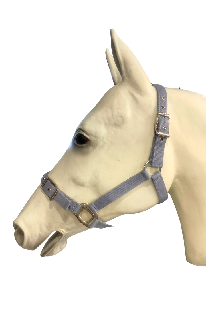 Durable Double Nylon Halter with Buckle on Nose