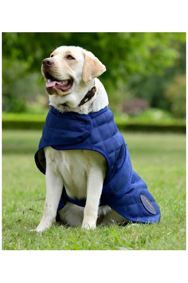 WEATHERBEETA COMFITEC DELUXE DIAMOND QUILT DOG COAT - Canterbury Saddlery