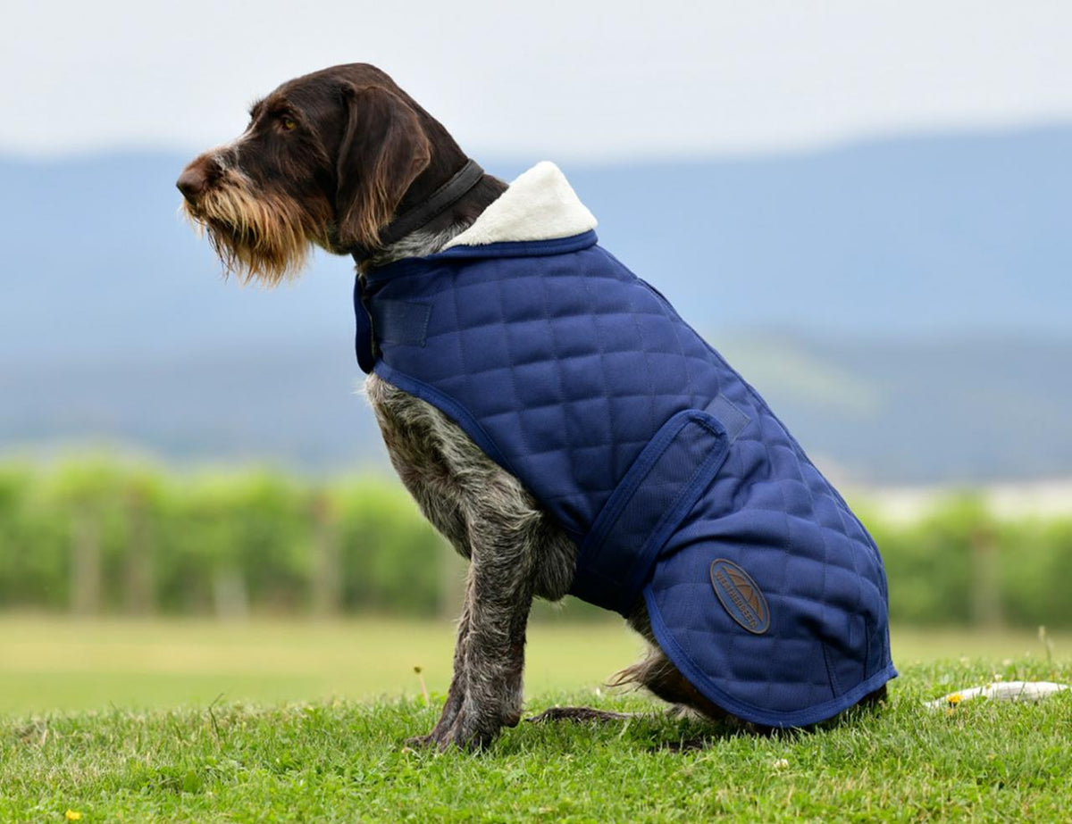 WEATHERBEETA COMFITEC DELUXE DIAMOND QUILT DOG COAT