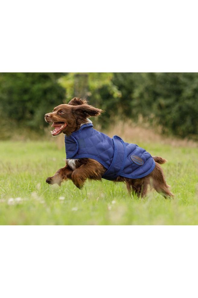 WEATHERBEETA COMFITEC DELUXE DIAMOND QUILT DOG COAT - Canterbury Saddlery