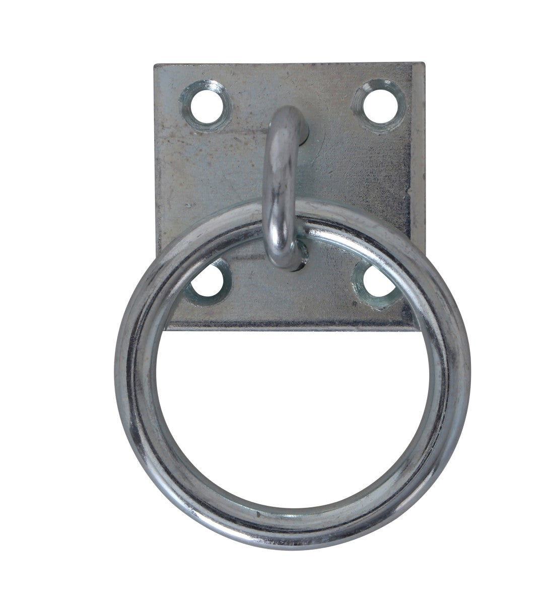 Mounting Plate With Ring - Canterbury Saddlery