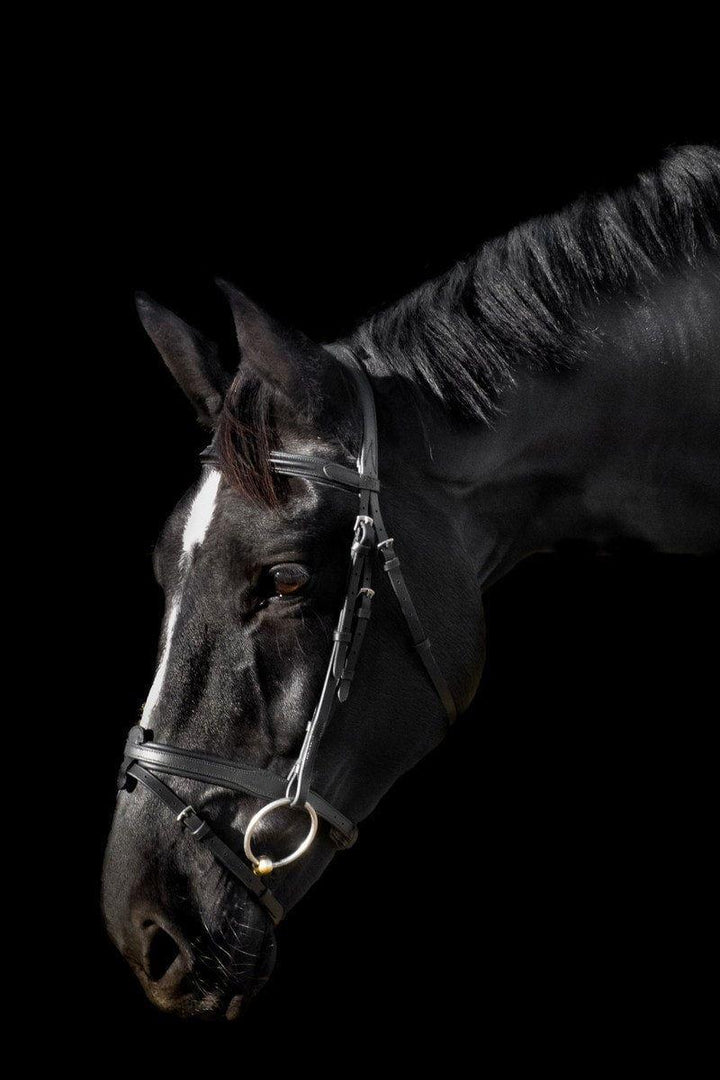 Étoile Comfort Bridle with Raised Padded Browband - Canterbury Saddlery