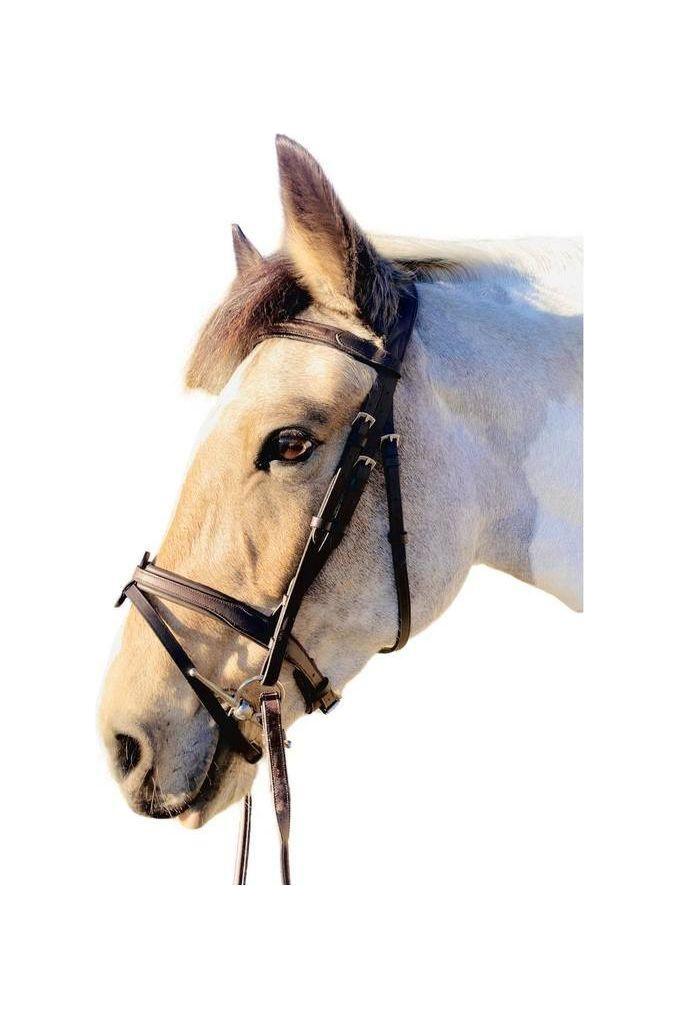 Étoile Comfort Bridle with Raised Padded Browband - Canterbury Saddlery