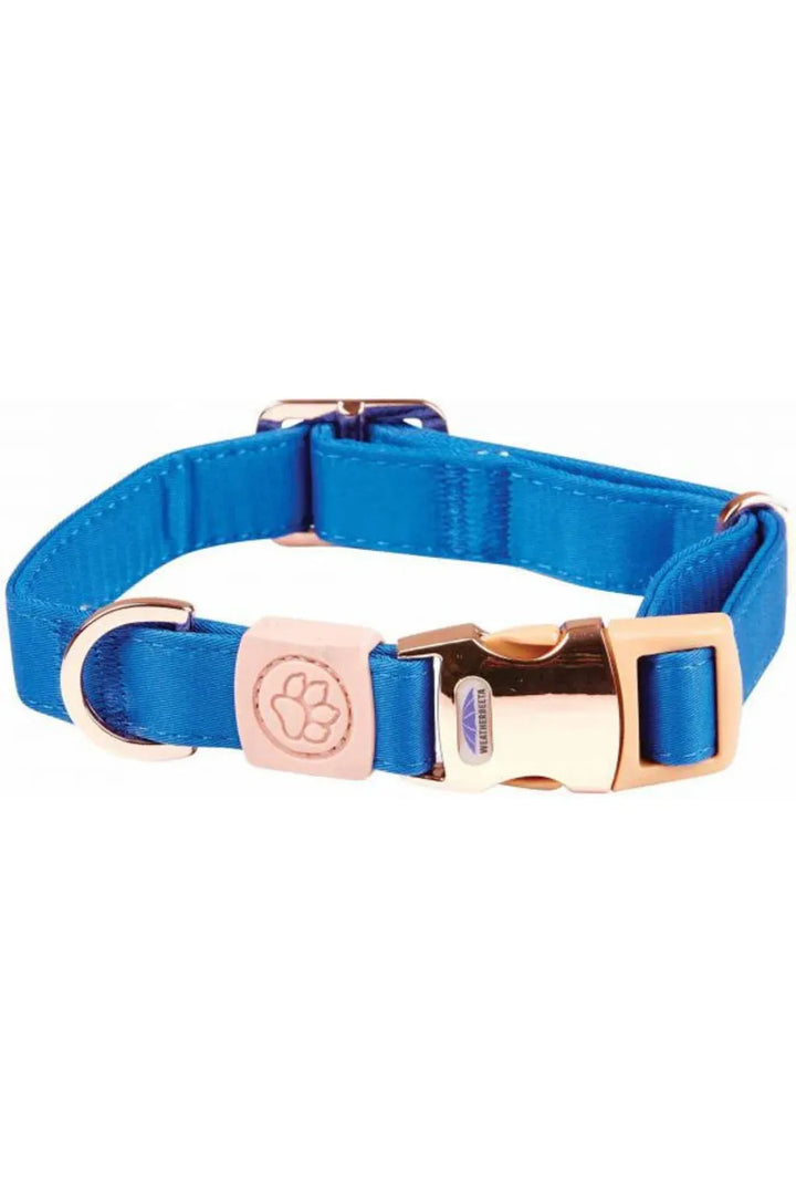 WeatherBeeta Elegance Dog Collar