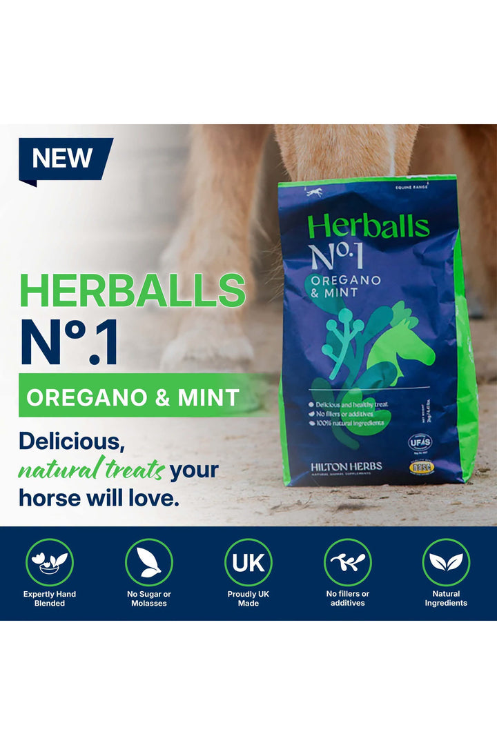 Hilton Herbs Oregano &amp; Mint No.1 - 500g treat