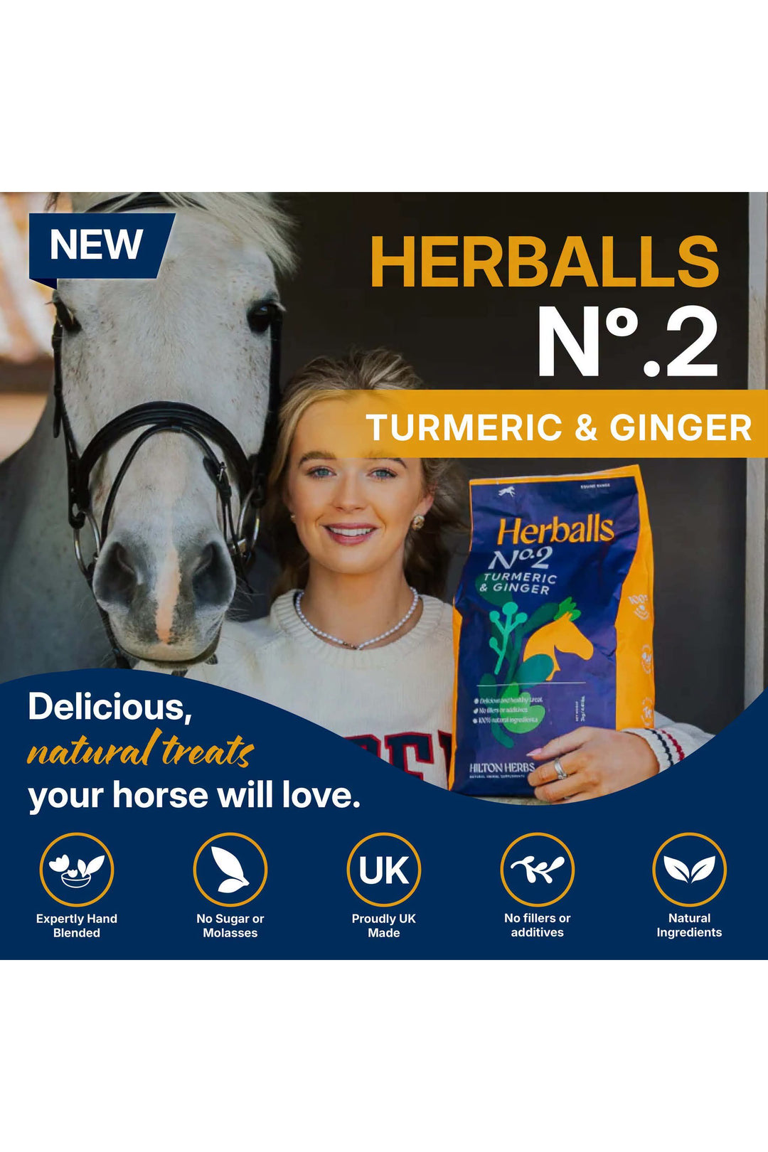 Hilton Herbs Tumeric &amp; Ginger No.2 - 500g treat