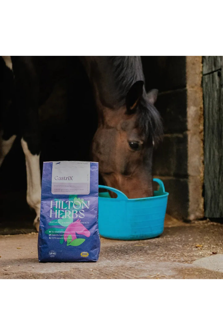 Hilton Herbs GastriX 1kg