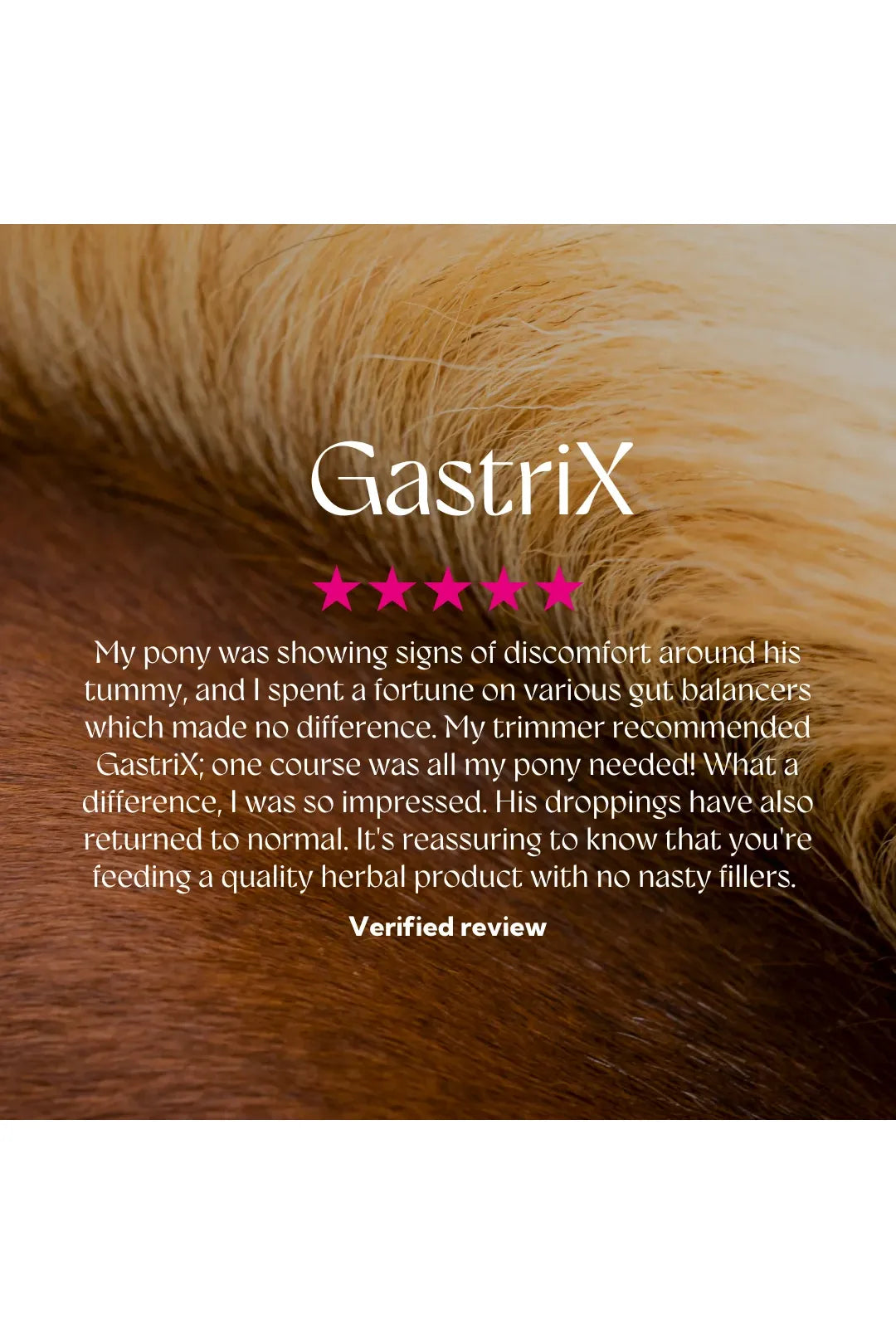 Hilton Herbs GastriX 1kg